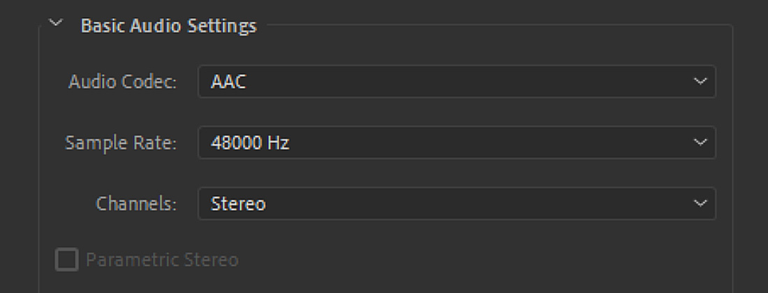 Audio-codec