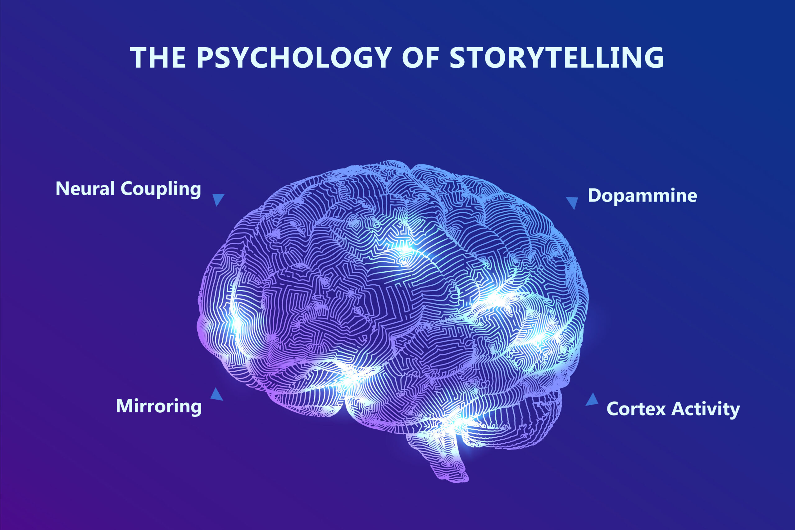 Brain-And-Storytelling