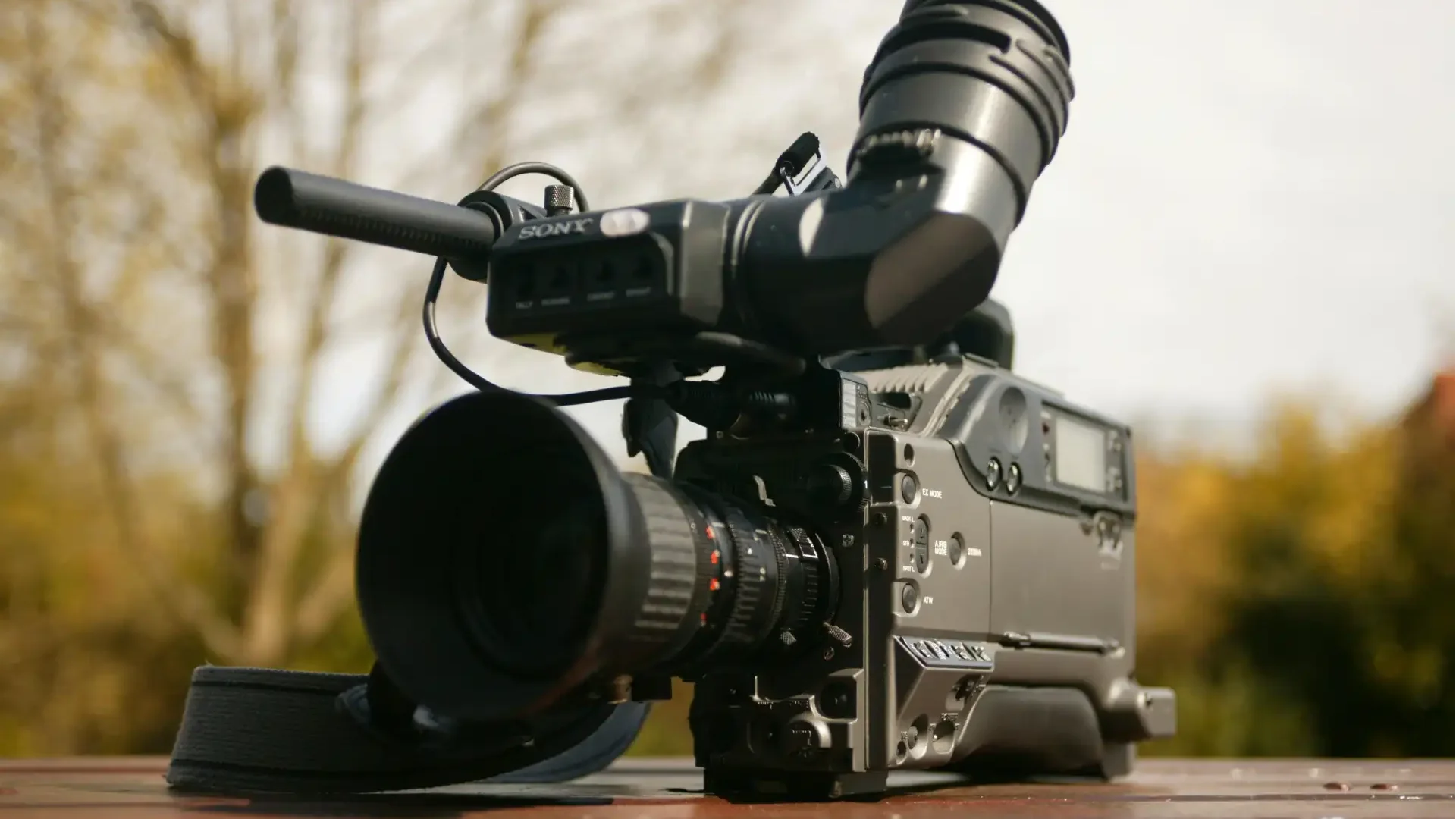 How to Create Cinematic Titles for Student Films Without Advanced Skills