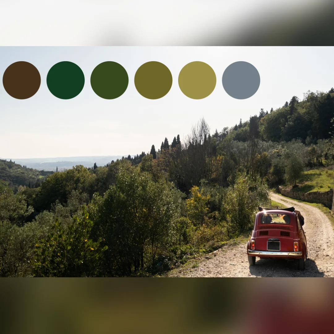 Color Palette Barcode of a Car Driving in a Vineyard