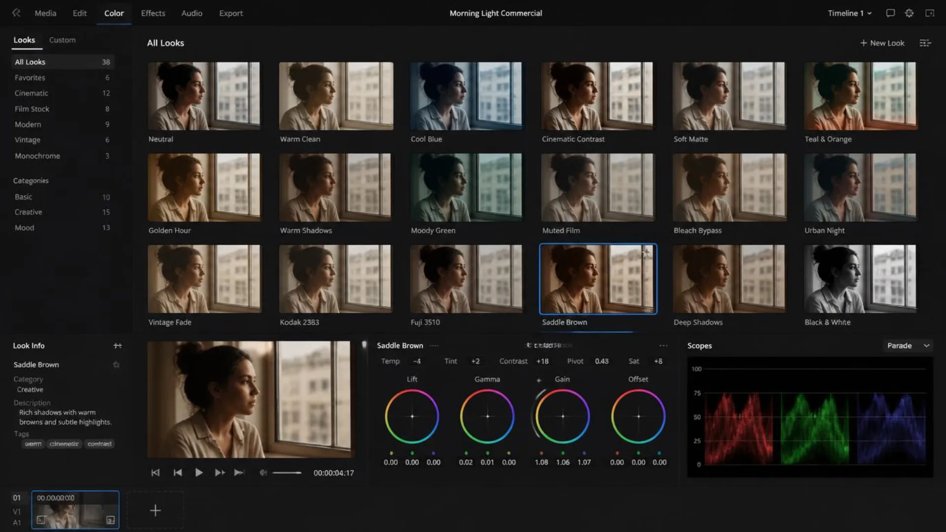 Visual Looks browser in the redesigned Premiere Pro color workspace