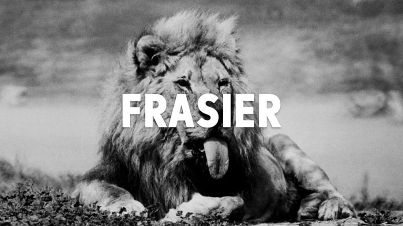 Frasier the Sensuous Lion
