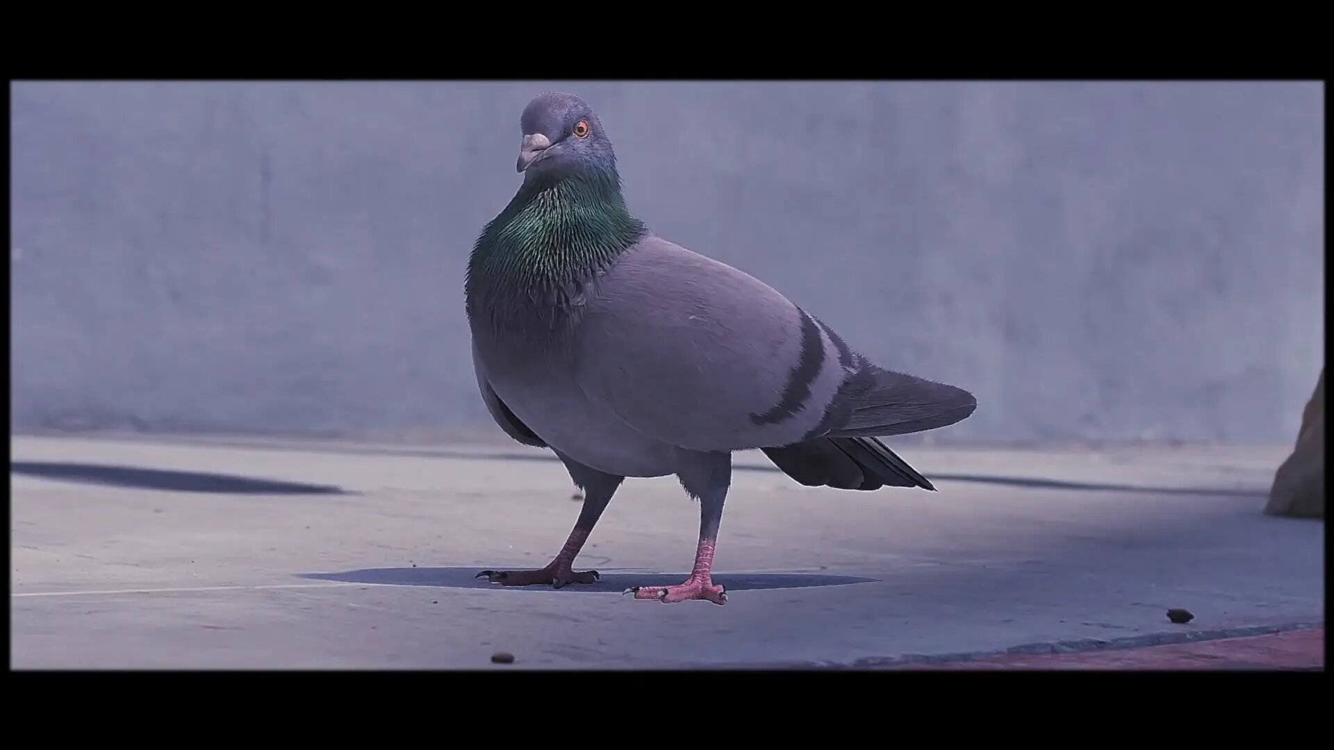 Emmit Fenn – Who Dat