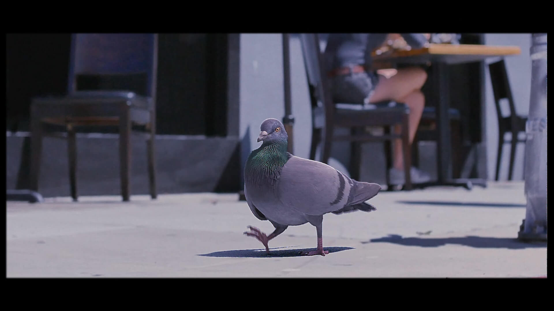 music-video-Patrick-Jean