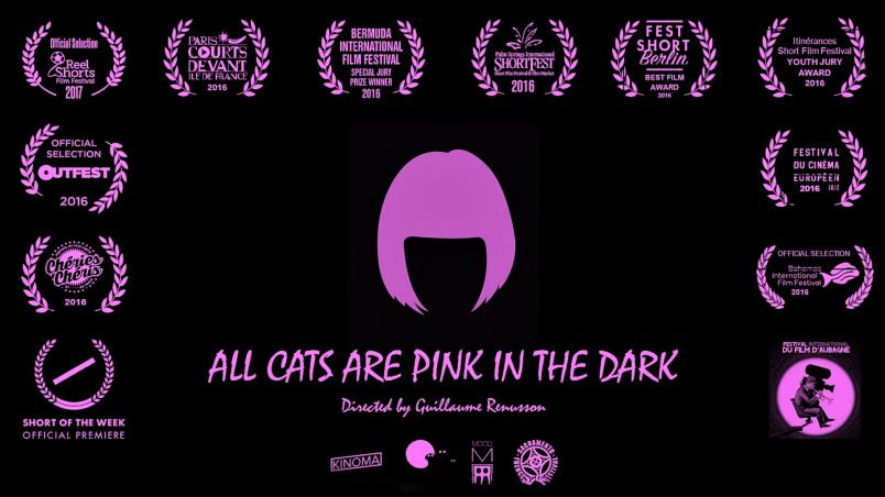 All cats are pink in the dark
