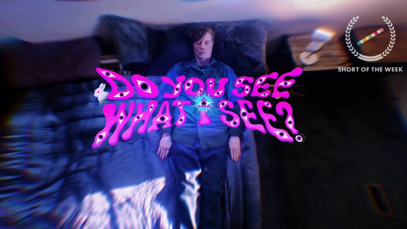 Do you see what I see?