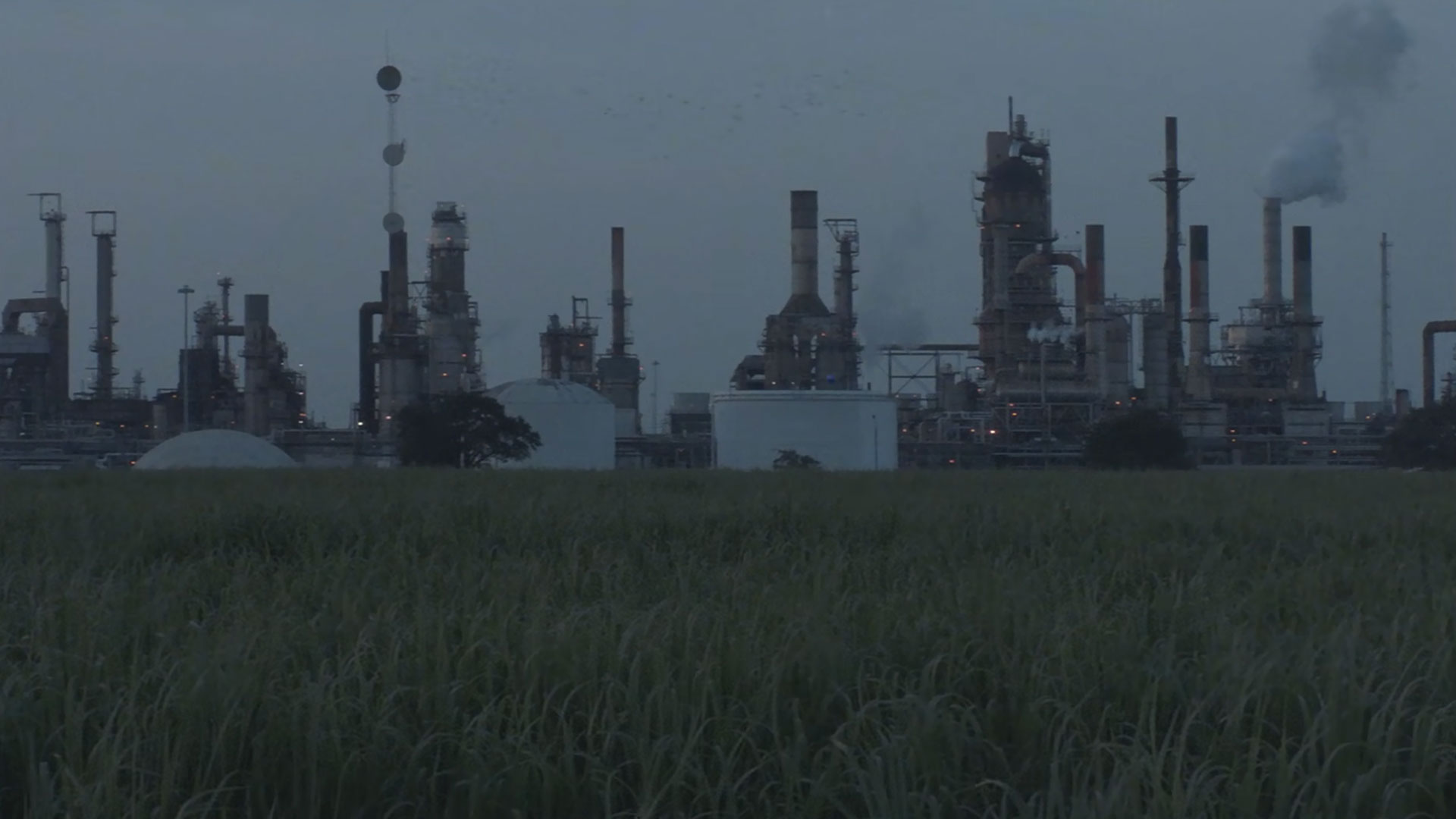 Documentary-film Documentary-film