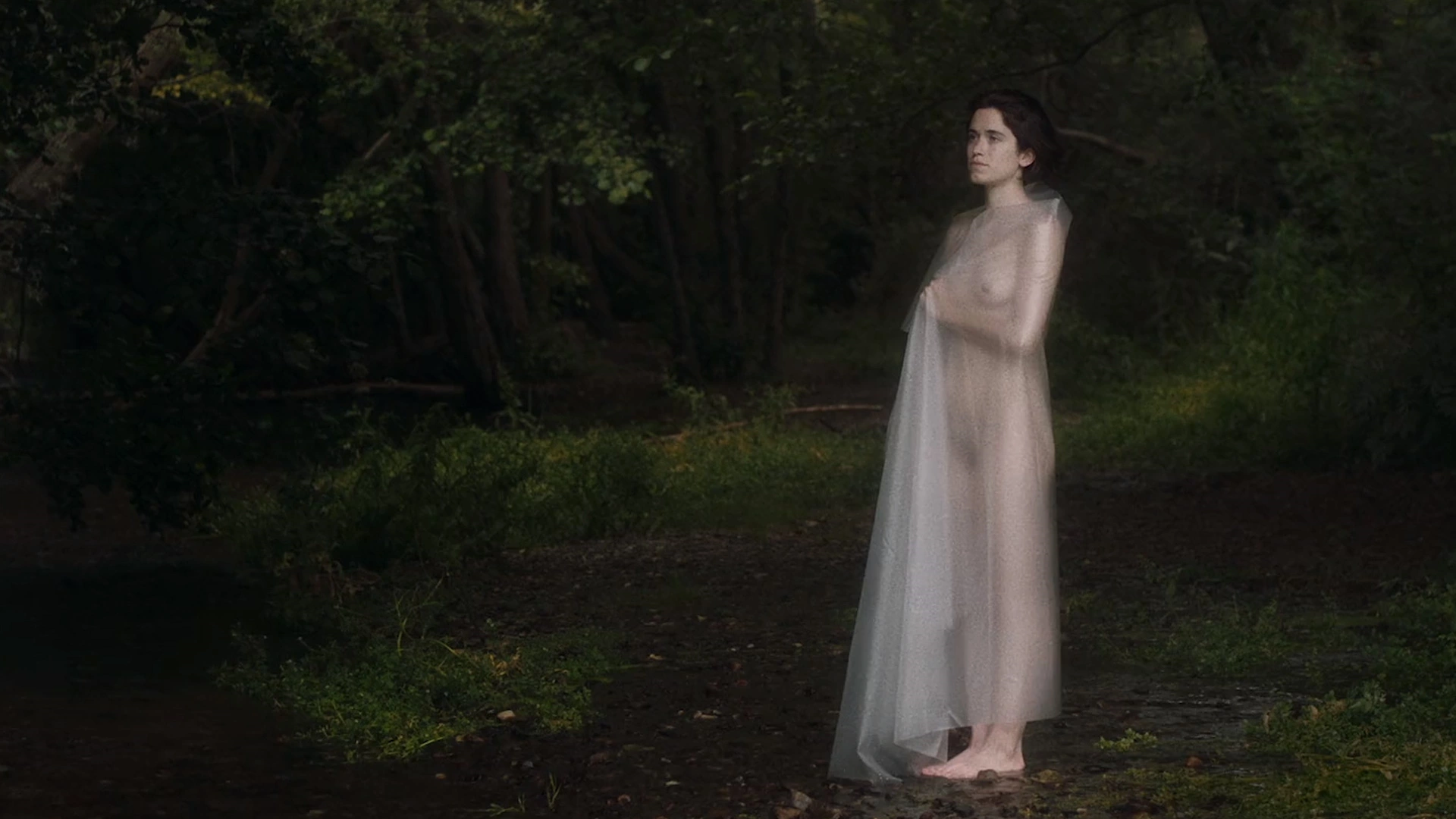 DIARY OF HIDDEN BODIES