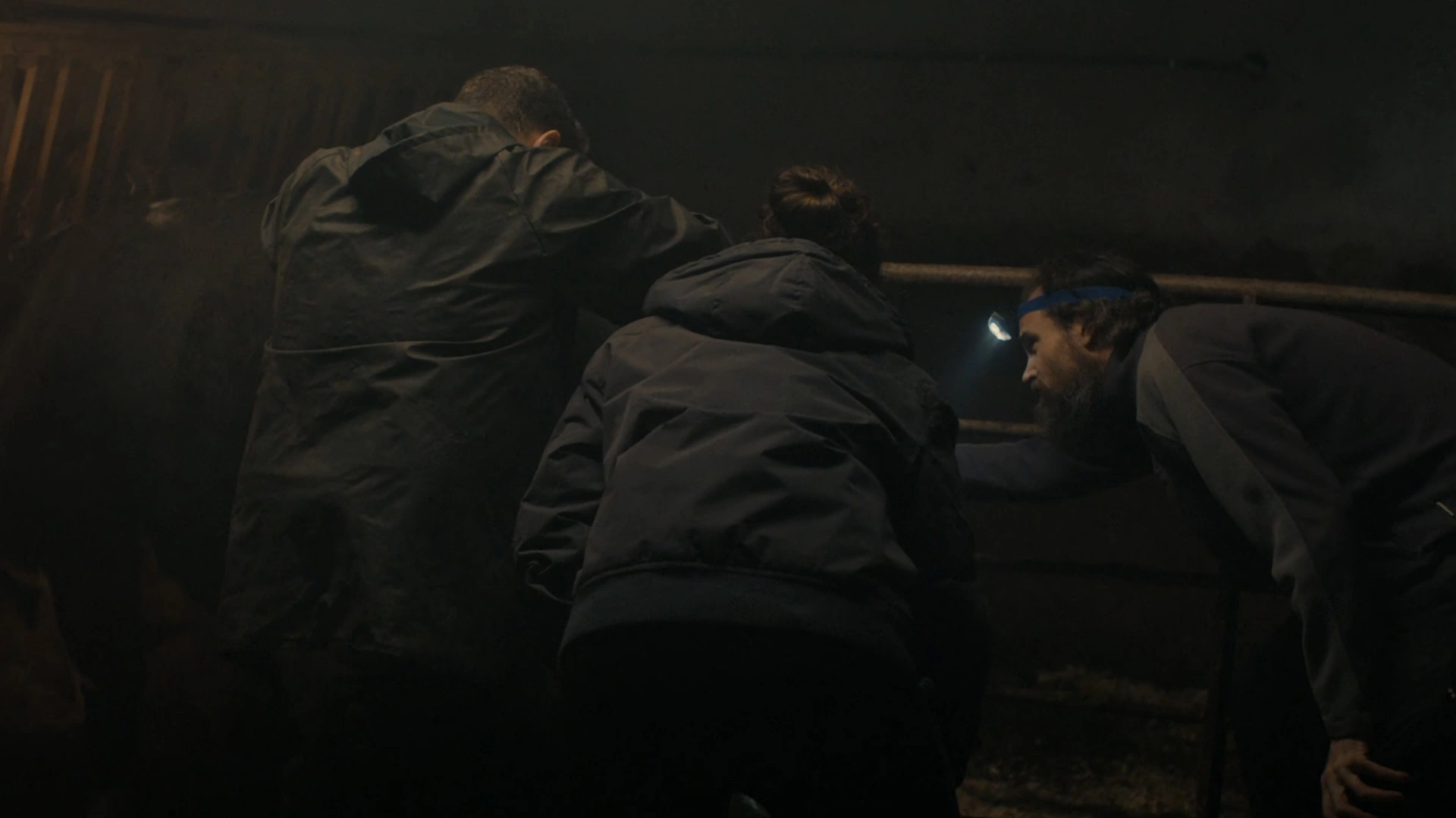 CALVING-by-Louis-Bhose