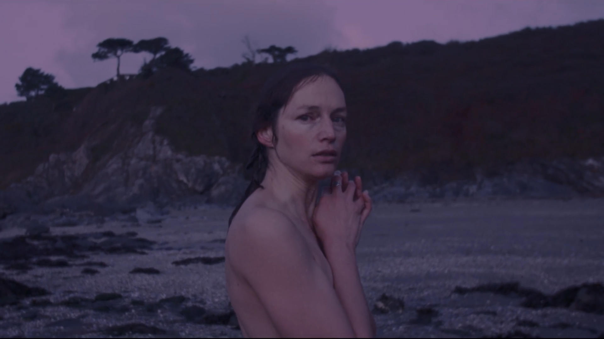 VIVIEN. One Morning In December