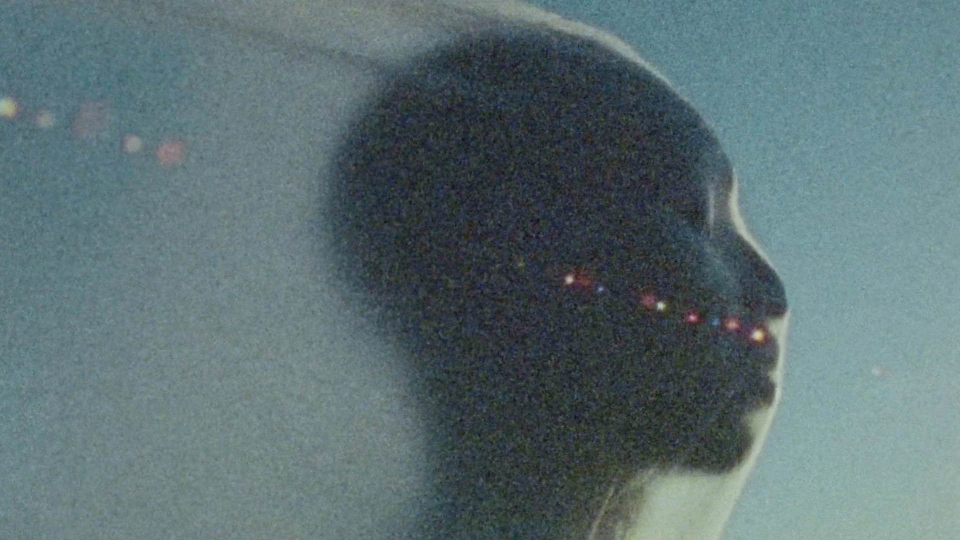 Ascension-by-Janis-Brod Ascension-by-Janis-Brod